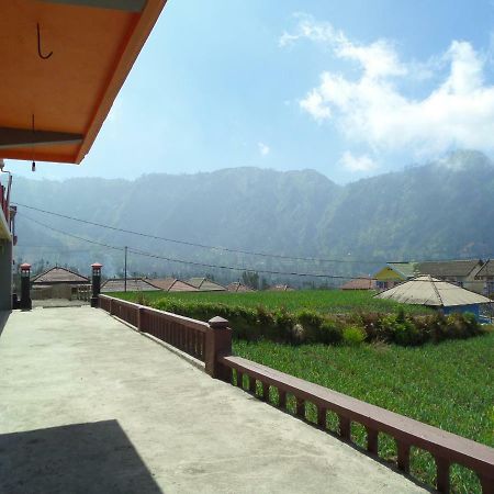 Tengger Indah Homestay Бромо Екстер'єр фото