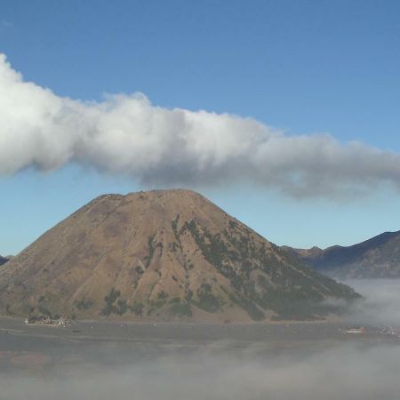 Tengger Indah Homestay Бромо Екстер'єр фото