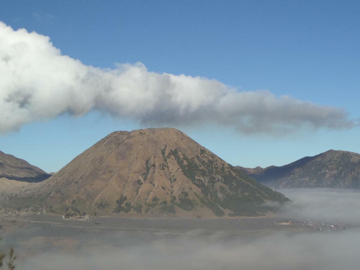 Tengger Indah Homestay Бромо Екстер'єр фото